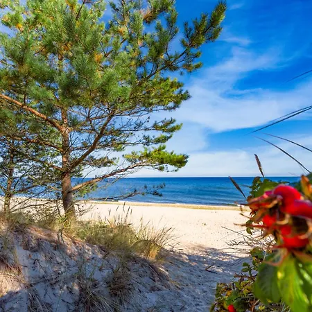 In - Insel Usedom 3207 Morgenitz